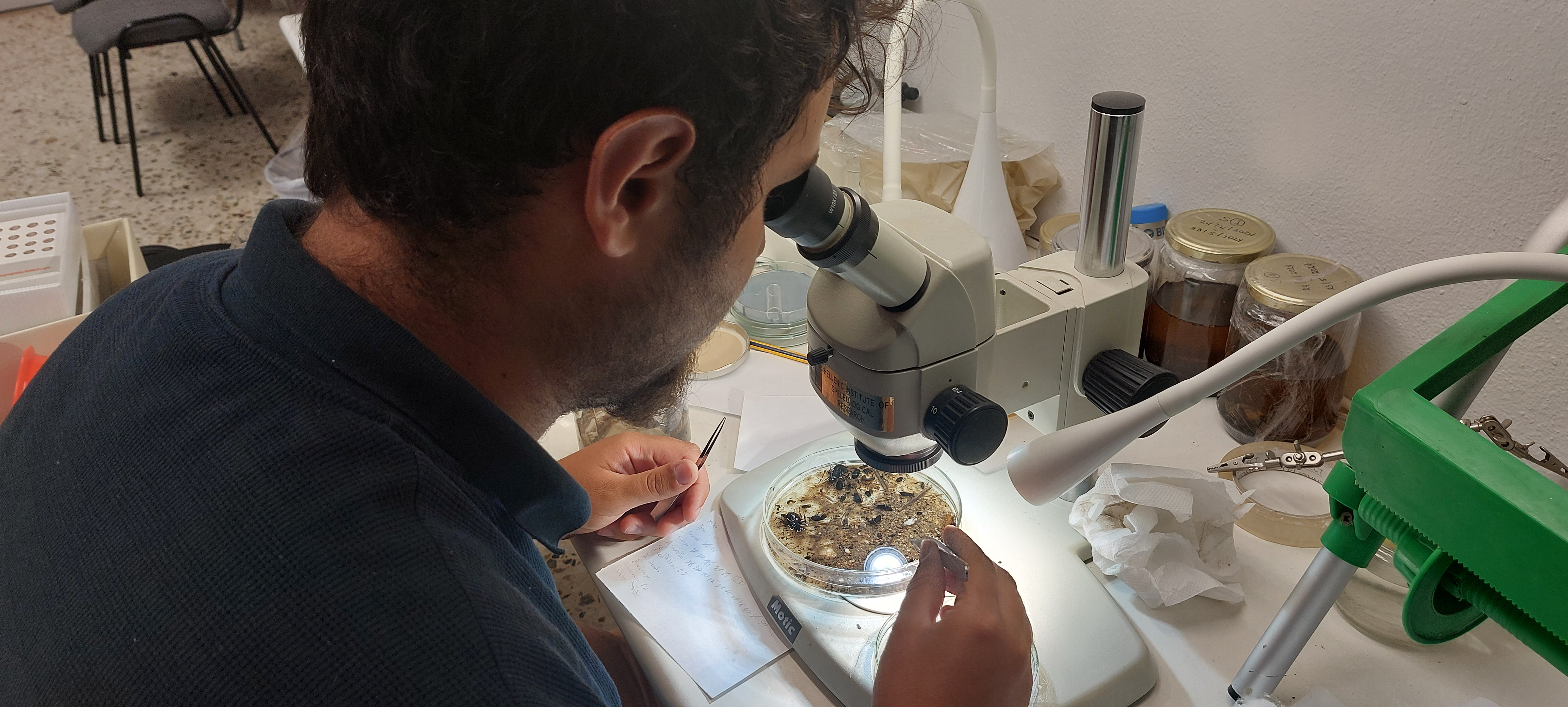 A scientist examines samples under a microscope in a laboratory. On the table, there is a Petri dish containing specimens, along with several preservation jars. The man is holding a tool to manipulate the samples while looking through the microscope.