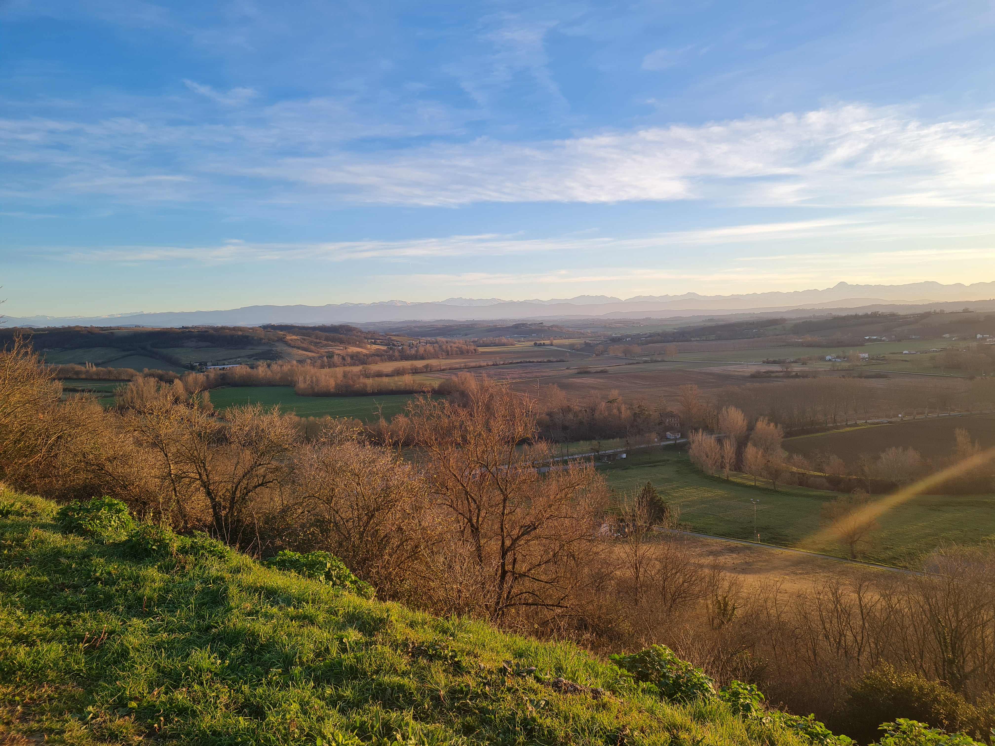 Panoramic view of rolling countryside at sunset, with bare trees in the foreground and mountains on the horizon under a clear blue sky