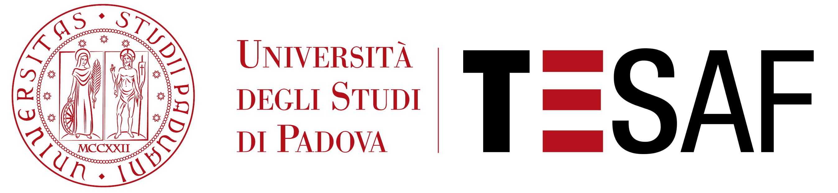 University of Padua logo