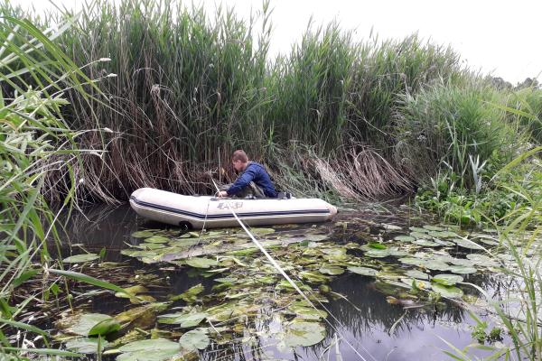 Monitoring in the upper valley of the Biebrza river