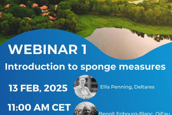 SpongeScapes - Webinar 1 - Save the Date