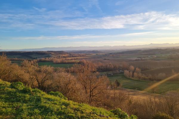 Panoramic view of rolling countryside at sunset, with bare trees in the foreground and mountains on the horizon under a clear blue sky