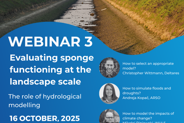 webinar 3 visual
