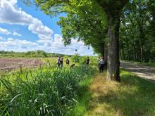 Field visit to the Chaamse Beken June 2024