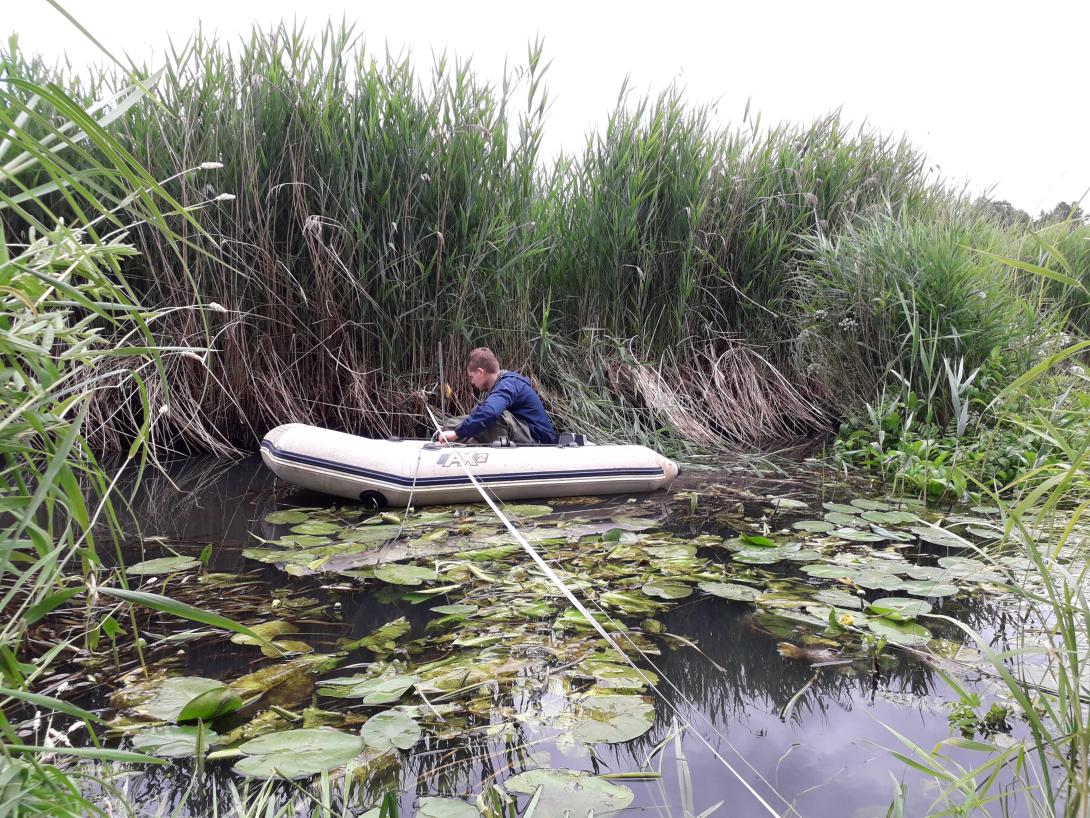 Monitoring in the upper valley of the Biebrza river